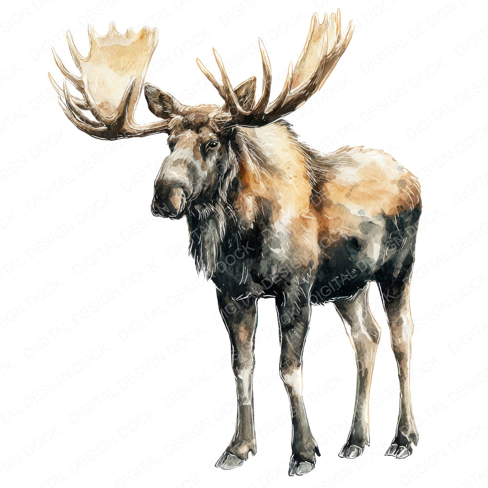 Watercolour Moose Antlers fussy cut sheet in US Letter format showing all 12 designs on one printable page