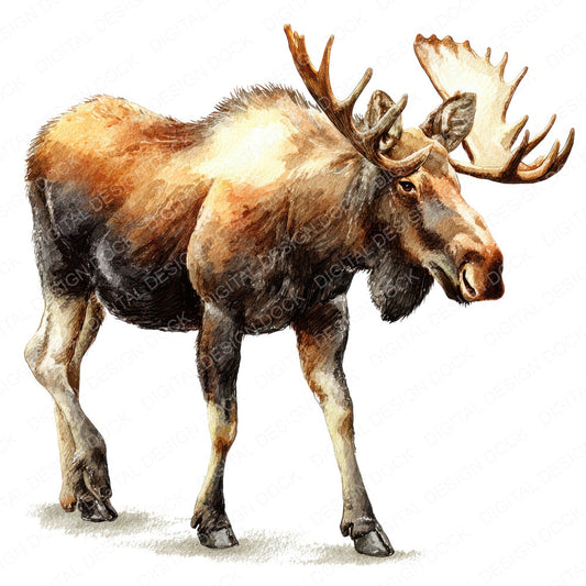 Watercolour Moose Walking fussy cut sheet in A4 format showing all 12 designs on one printable page