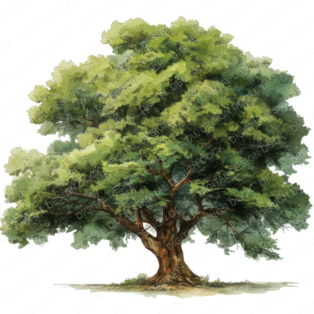 Watercolour Oak Tree fussy cut sheet in A4 format showing all 12 designs on one printable page