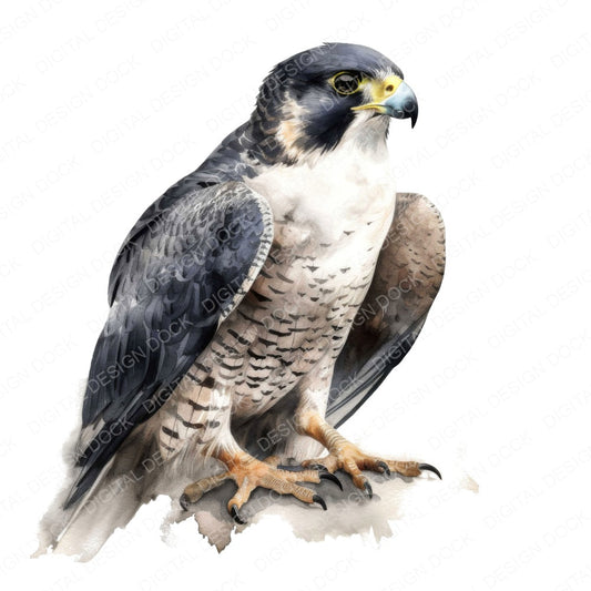 Watercolour Peregrine Falcon fussy cut sheet in US Letter format showing all 12 designs on one printable page