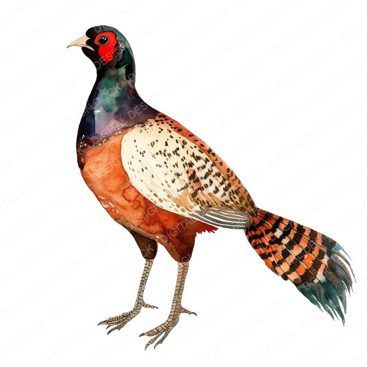 Watercolour Pheasant fussy cut sheet in A4 format showing all 12 designs on one printable page