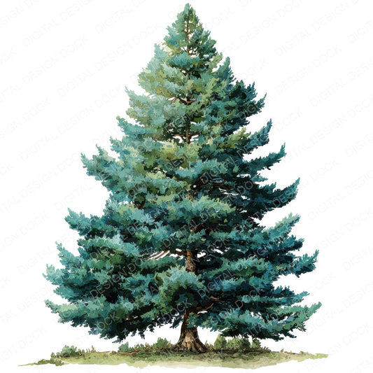 Watercolour Pine Tree fussy cut sheet in A4 format showing all 12 designs on one printable page