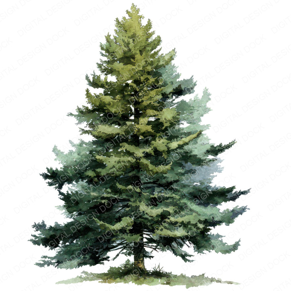 Watercolour Pine Tree fussy cut sheet in US Letter format showing all 12 designs on one printable page