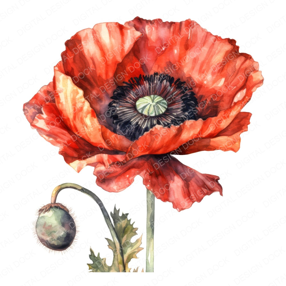 Watercolour Poppy fussy cut sheet in A4 format showing all 12 designs on one printable page