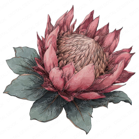Watercolour Protea Flower fussy cut sheet in A4 format showing all 12 designs on one printable page