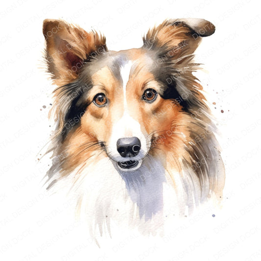 Watercolour Shetland Sheepdog Clipart Set (DDD007332)