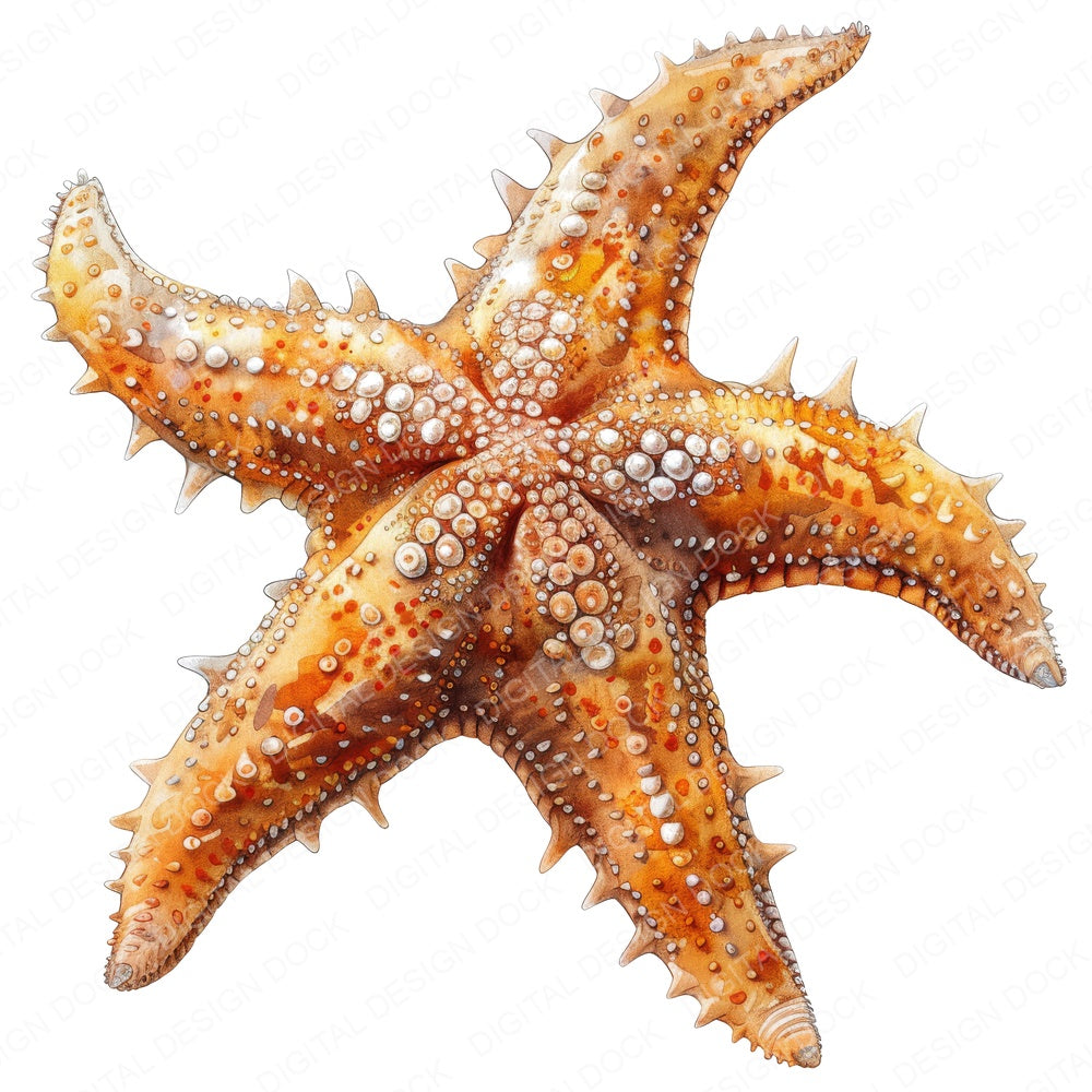 Watercolour Starfish fussy cut sheet in A4 format showing all 12 designs on one printable page