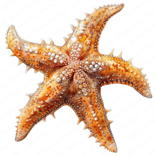 Watercolour Starfish fussy cut sheet in A4 format showing all 12 designs on one printable page