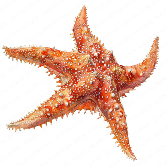Watercolour Starfish fussy cut sheet in US Letter format showing all 12 designs on one printable page