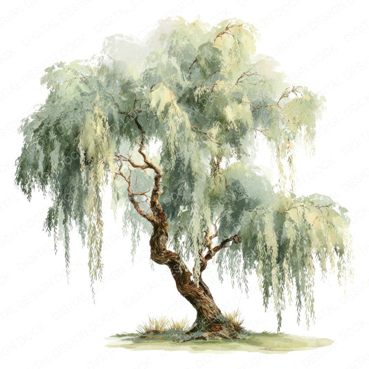 Watercolour Willow Tree fussy cut sheet in A4 format showing all 12 designs on one printable page