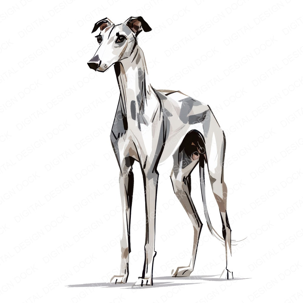 Single Whippet Watercolour Dog clipart design shown full size
