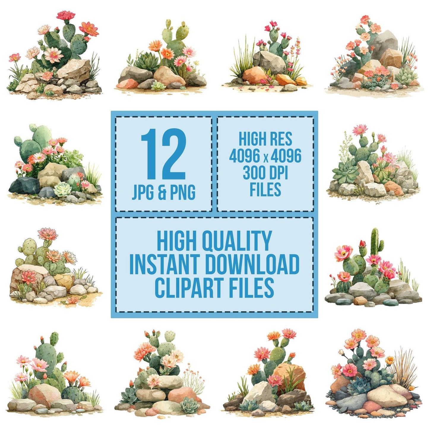 Cactus and Desert Flower Rockery Clipart Set (DDD004789)