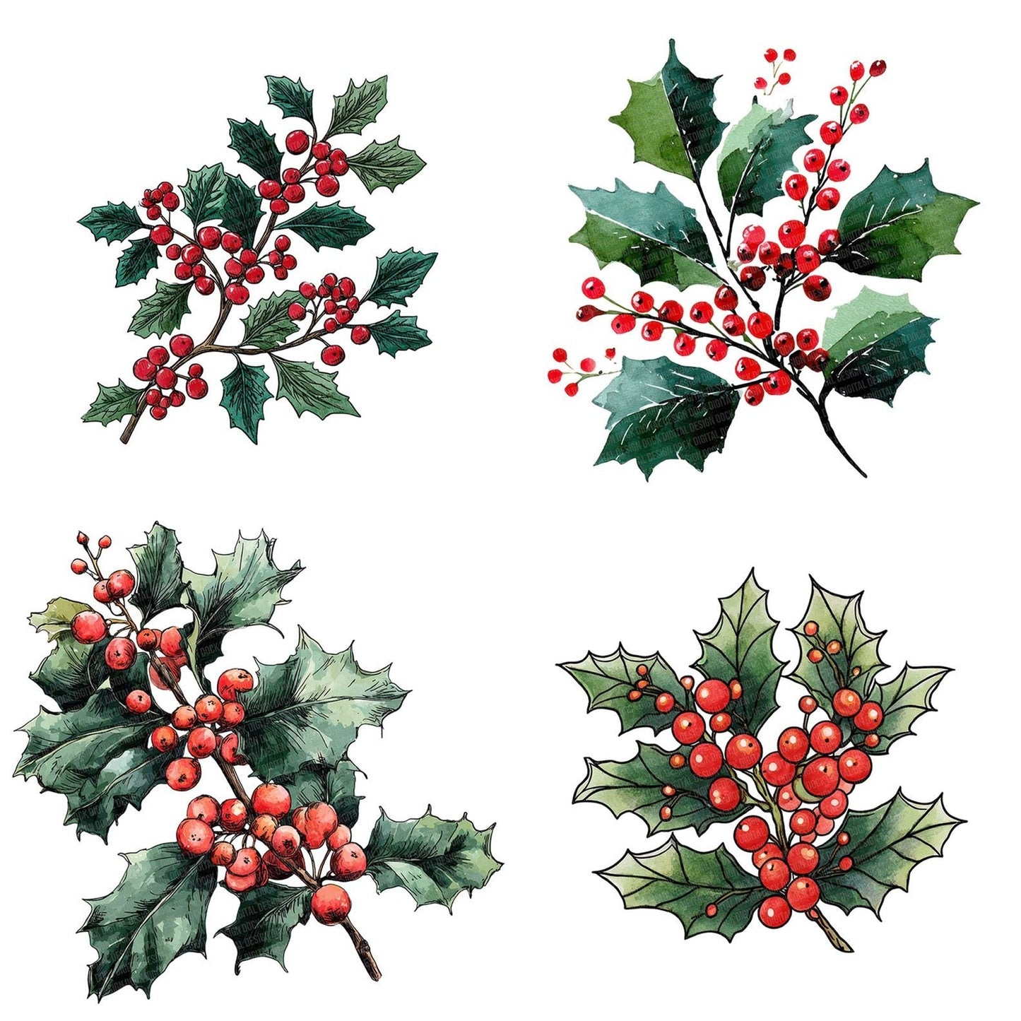 Christmas Folk Art Holly Clipart Set (DDD004878)