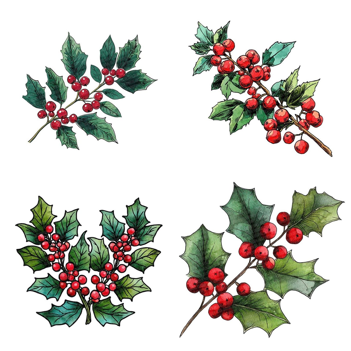 Christmas Folk Art Holly Clipart Set (DDD004878)