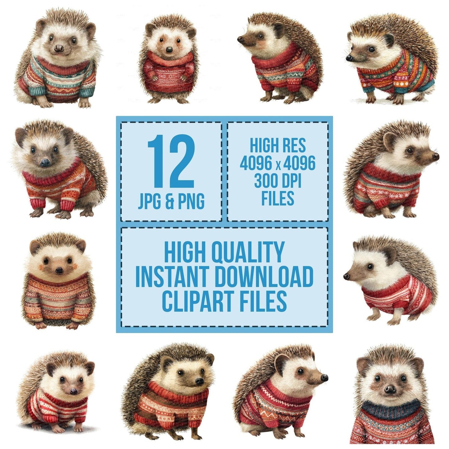Christmas Hedgehog in Jumper Clipart Set (DDD004890)