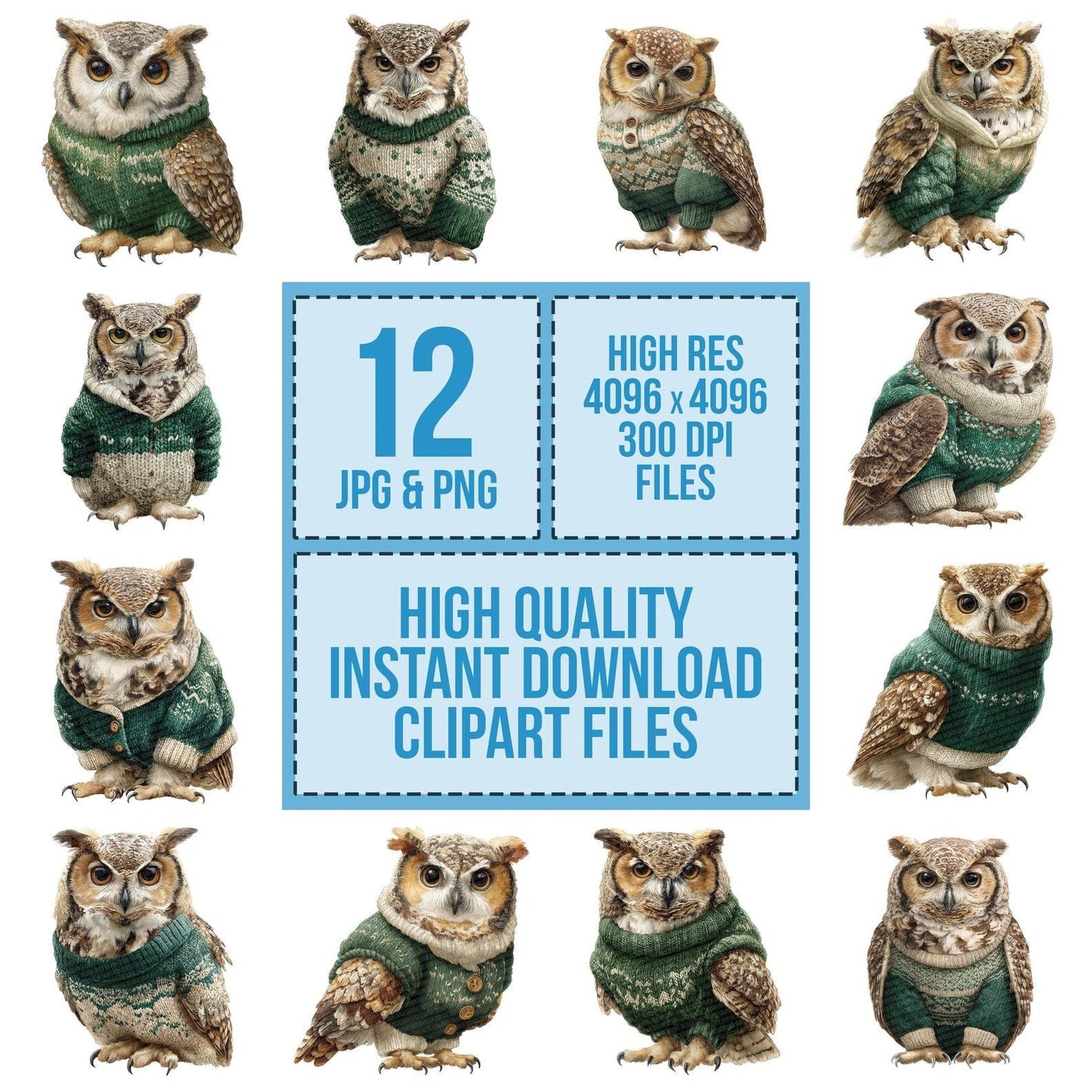 Christmas Owl in Jumper Clipart Set (DDD004900)