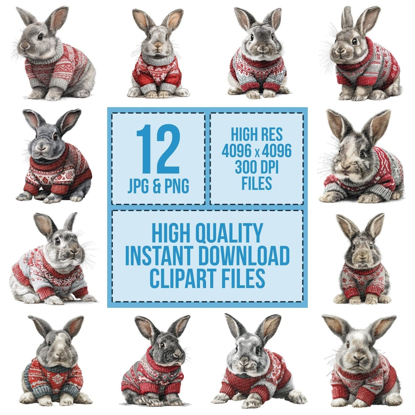 Christmas Rabbit in Jumper Clipart Set (DDD004903)