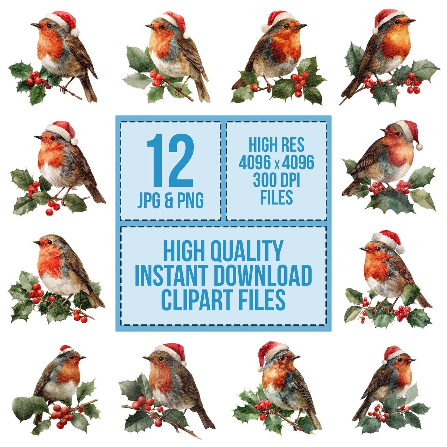 Christmas Robin on Holly Branch Clipart Set (DDD004904)