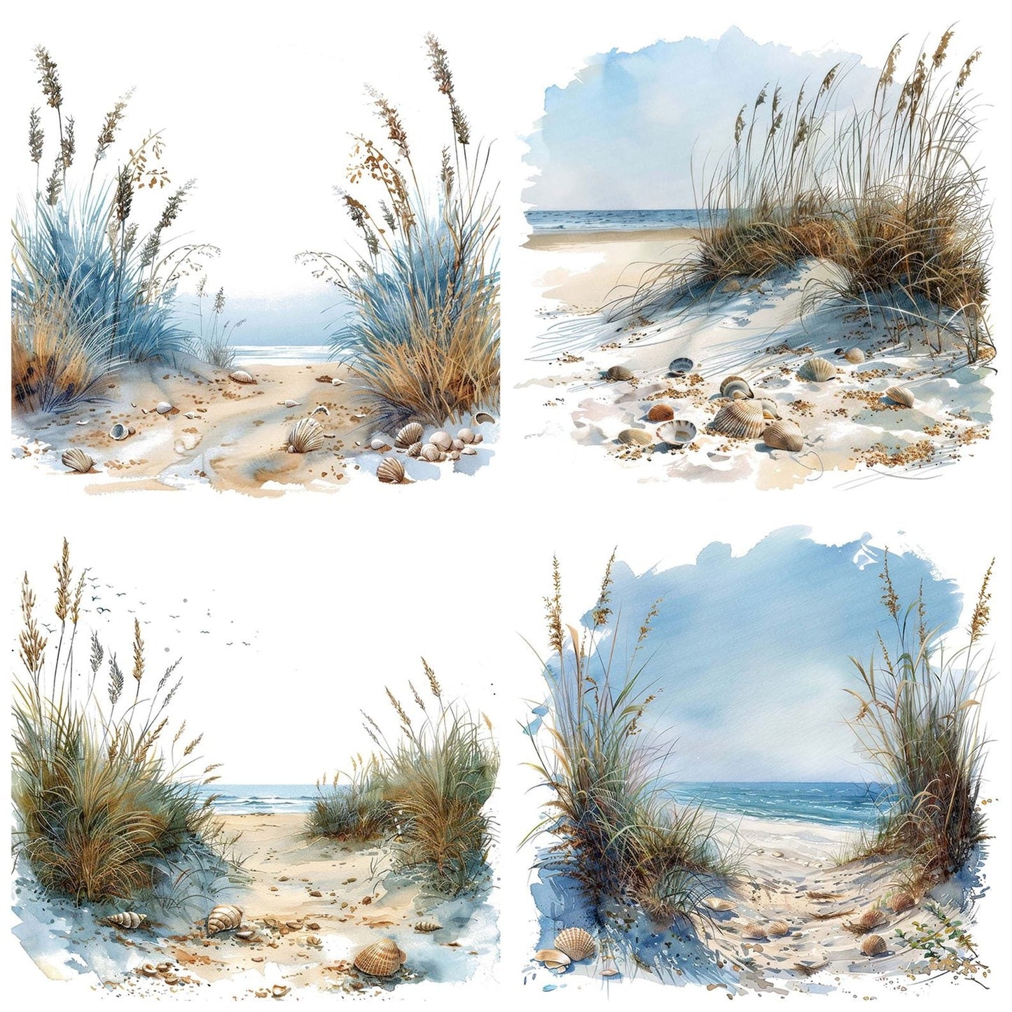 Coastal Sand Dunes with Seashells Clipart Set (DDD004984)