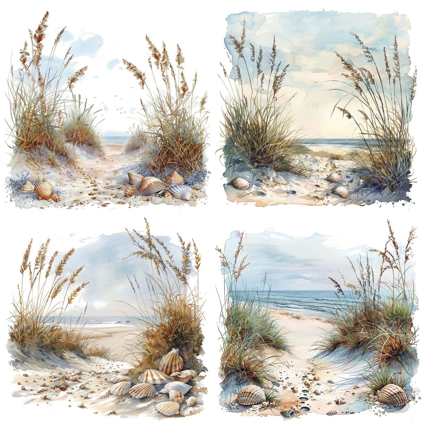 Coastal Sand Dunes with Seashells Clipart Set (DDD004984)