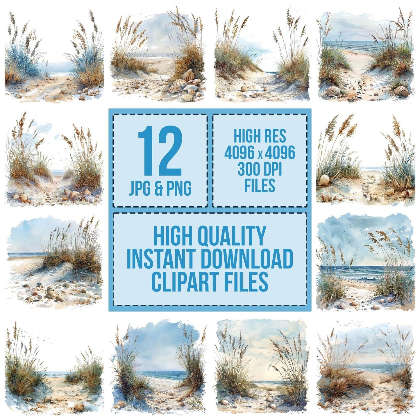 Coastal Sand Dunes with Seashells Clipart Set (DDD004984)