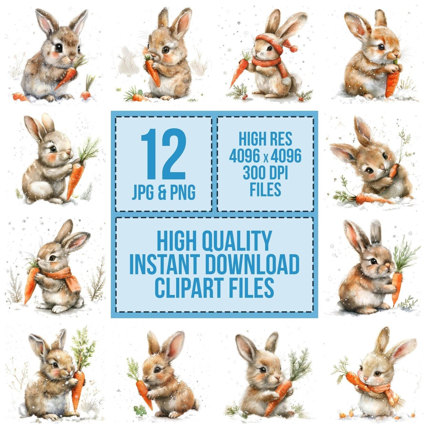 Cute Bunny Eating Carrot in Snow Clipart Set (DDD005058)
