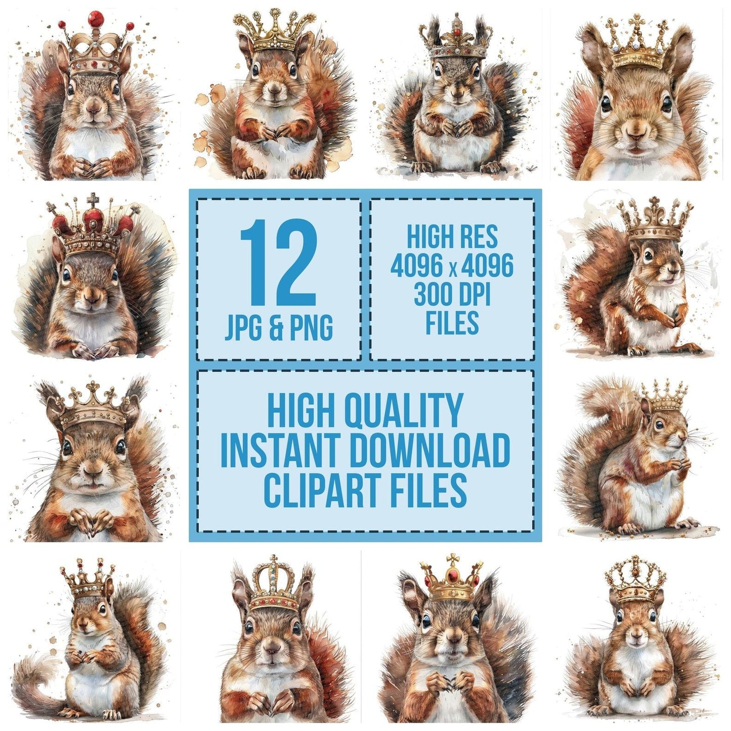 Cute Squirrel with a Crown Clipart Set (DDD005077)