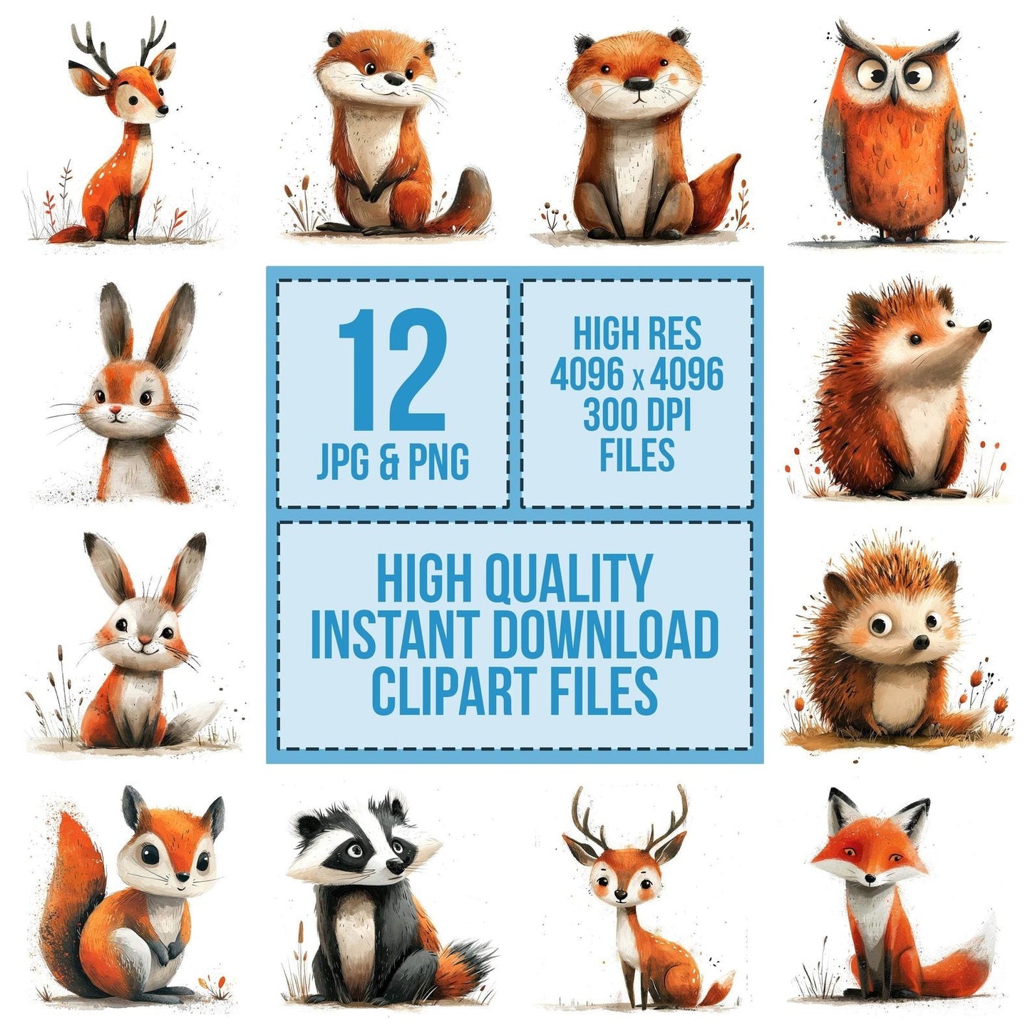 Cute Woodland Animal Cartoon Clipart Set (DDD005080)