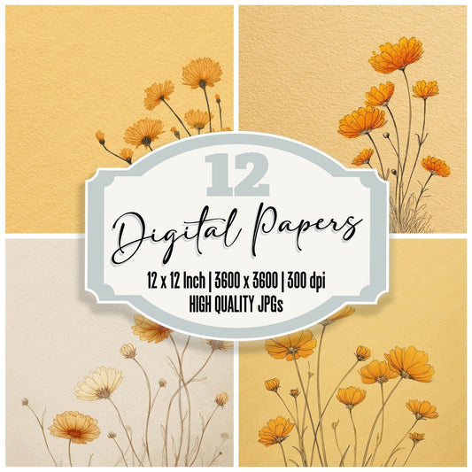 Butter Calendula Outline Background Digital Paper Pack (DDD000063)