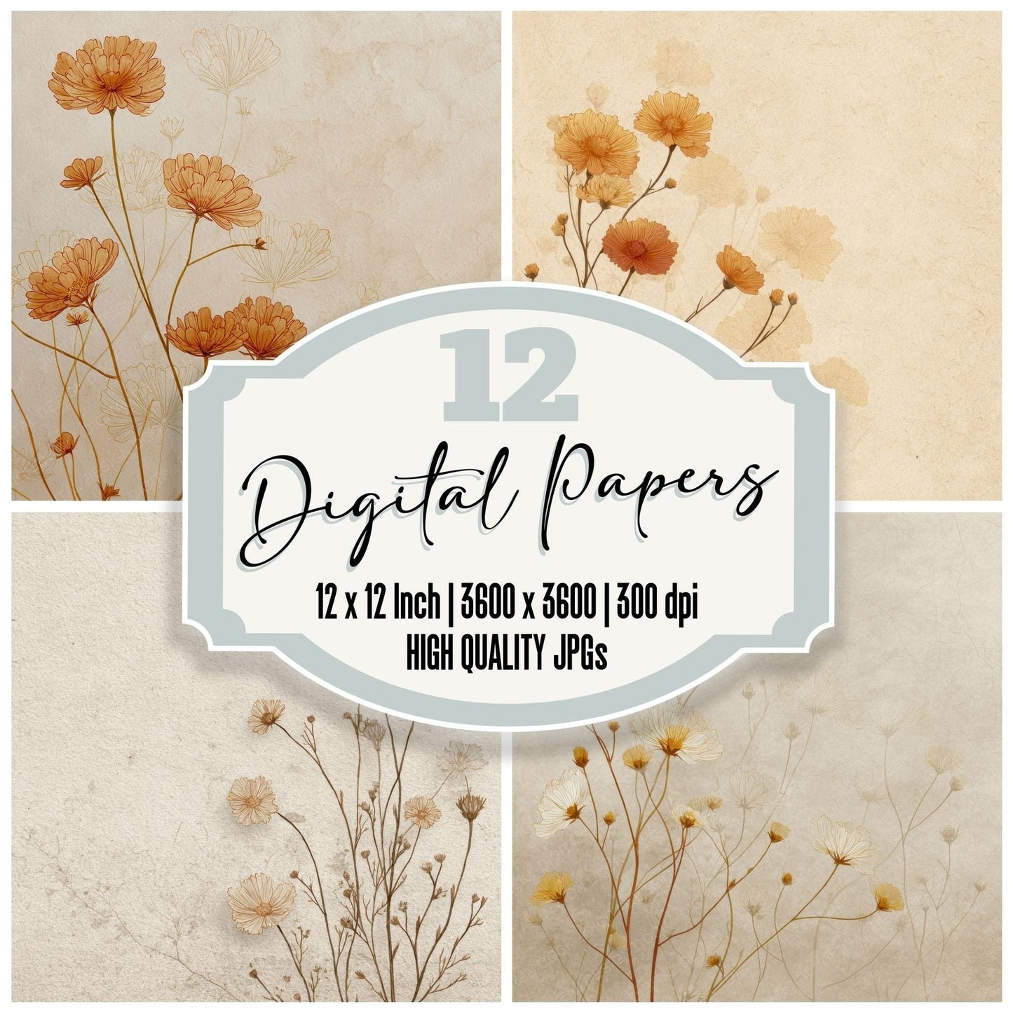 Oat Marigold Outline Background Digital Paper Pack (DDD000074)