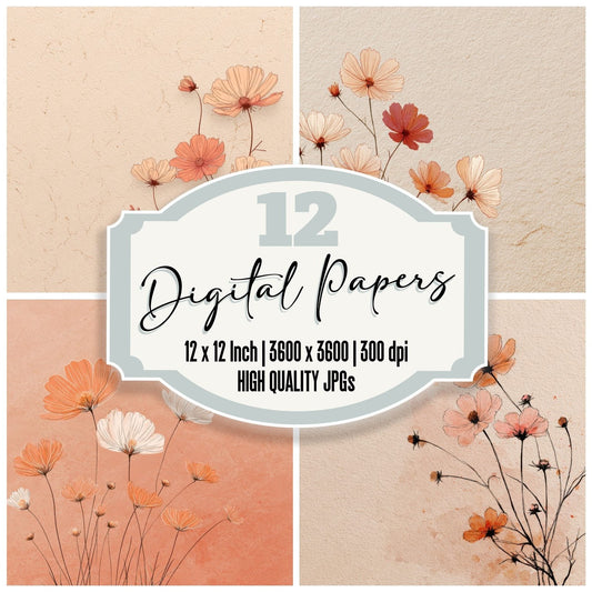 Peach Cosmos Outline Background Digital Paper Pack (DDD000075)