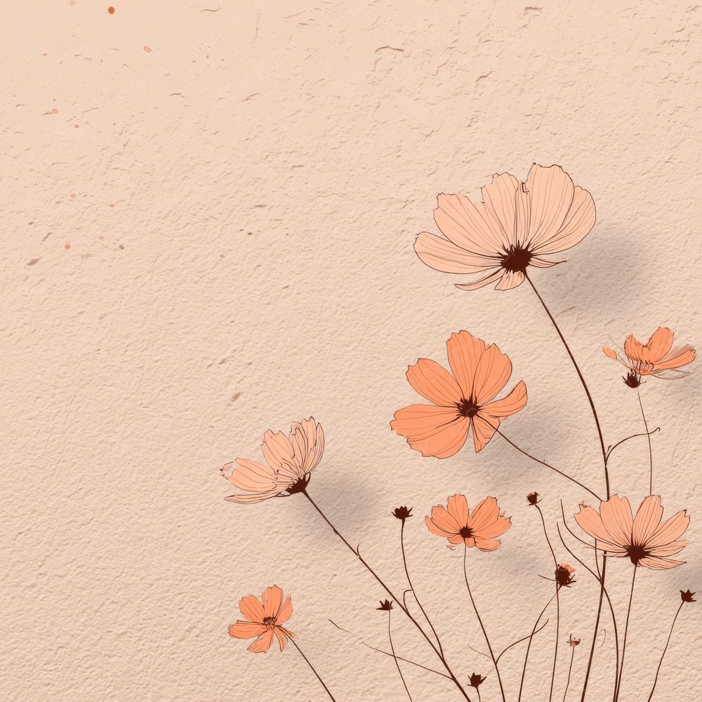 Peach Cosmos Outline Background Digital Paper Pack (DDD000075)