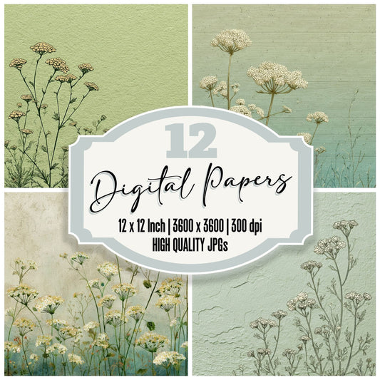 Pistachio Yarrow Outline Background Digital Paper Pack (DDD000077)