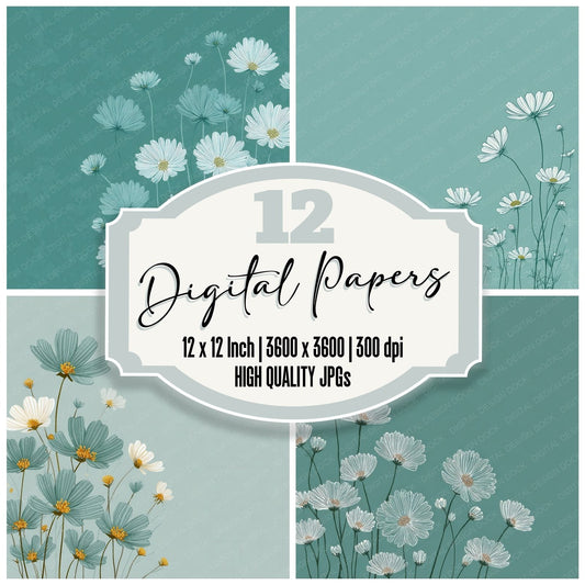 Seafoam Daisy Outline Background Digital Paper Pack (DDD000078)