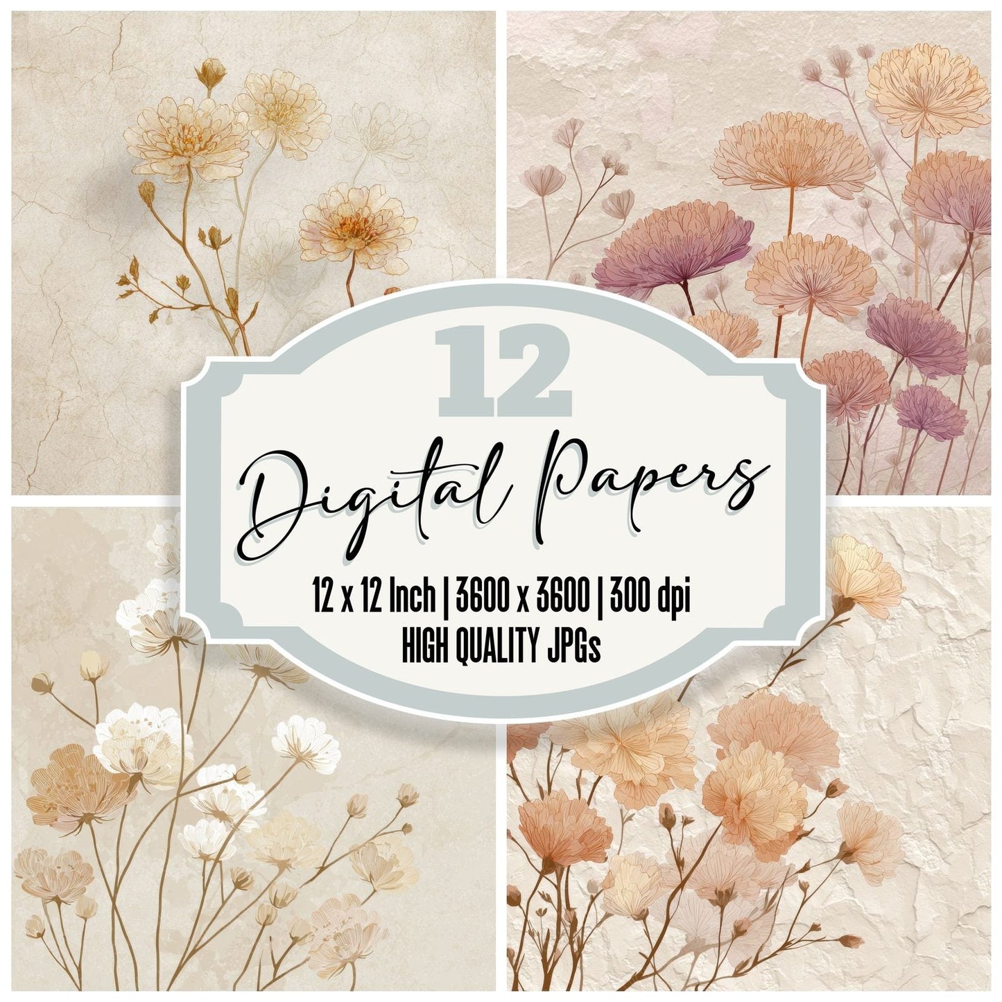 Shell Scabiosa Outline Background Digital Paper Pack (DDD000079)