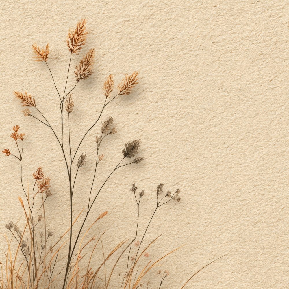 Vanilla Seedhead Outline Background Digital Paper Pack (DDD000080)