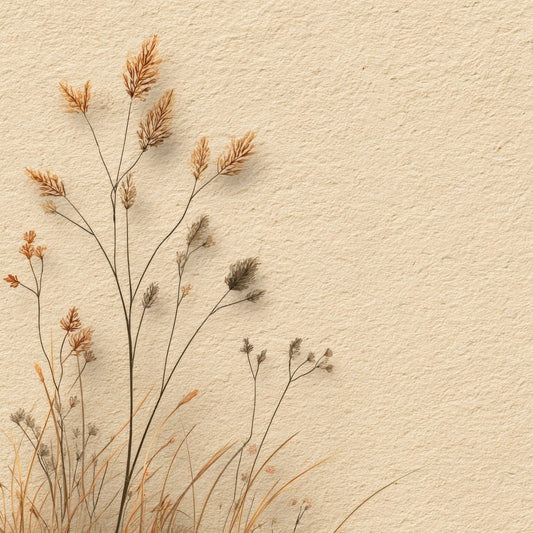 Vanilla Seedhead Outline Background Digital Paper Pack (DDD000080)