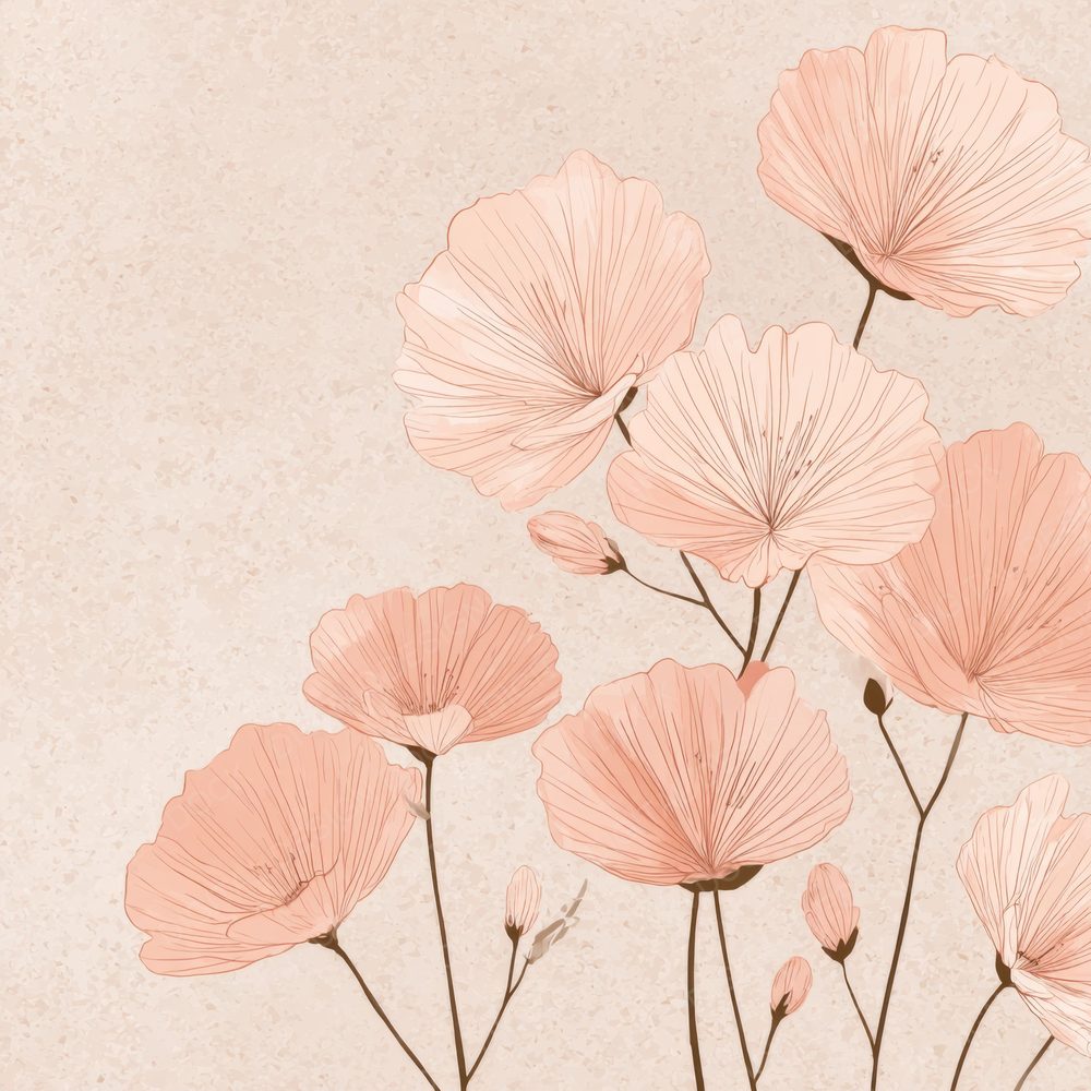 Blush Primrose Outline Background Digital Paper Pack (DDD000085)