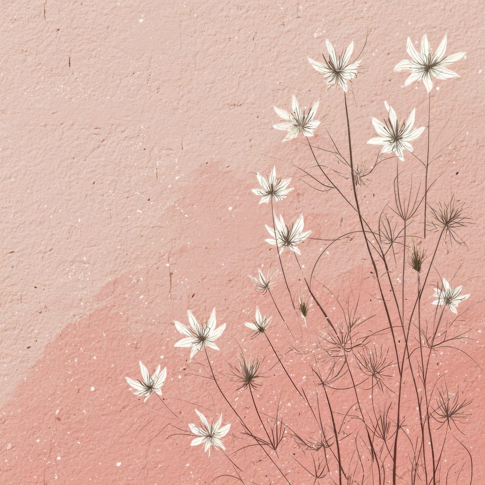 Mist Rose Nigella Outline Background Digital Paper Pack (DDD000093)