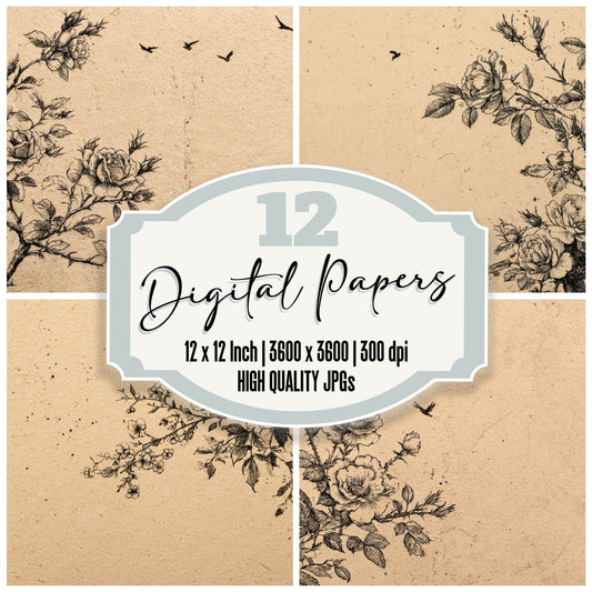 Ink Sketch Rose Border Background Digital Paper Pack (DDD000150)