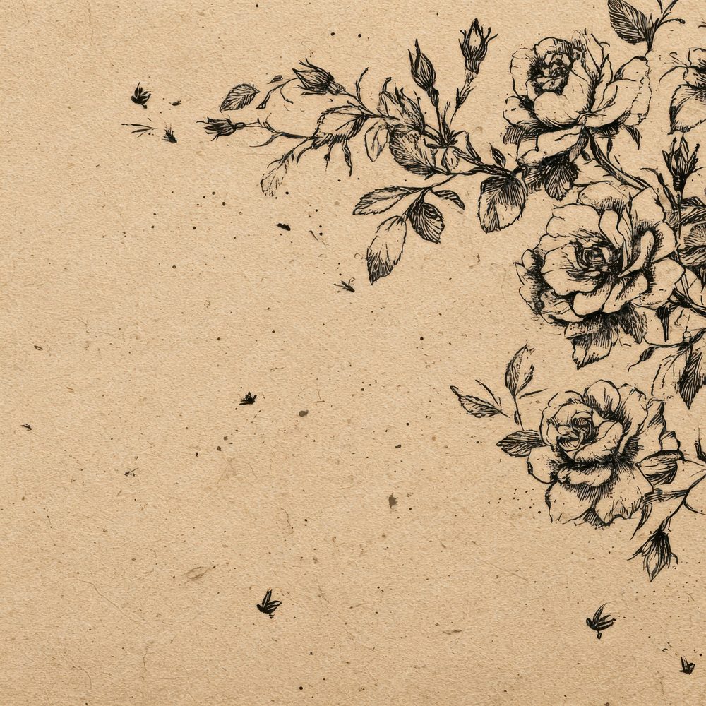 Ink Sketch Rose Border Background Digital Paper Pack (DDD000150)