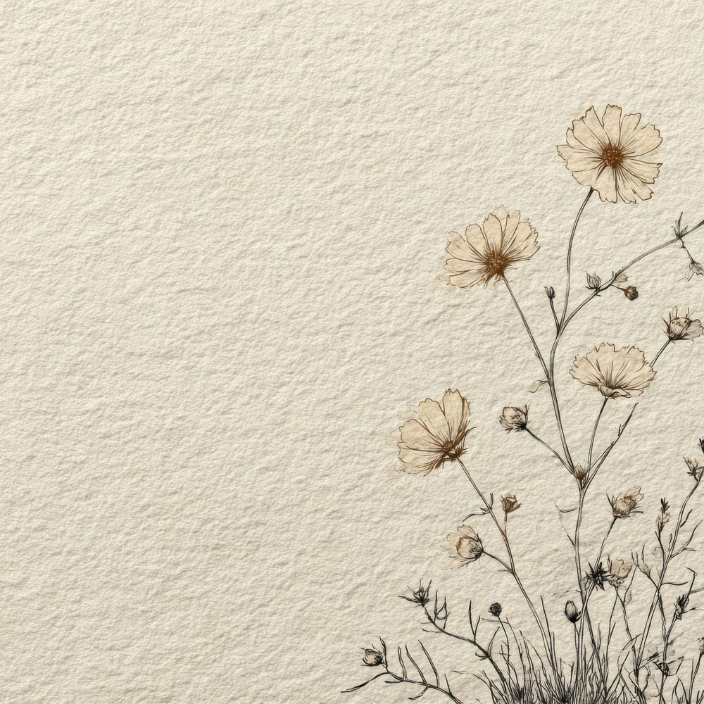 Boho Cream Meadow Flower Background Digital Paper Pack (DDD000163)