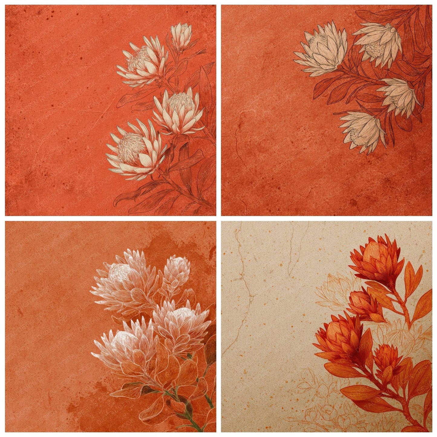 Rust Protea Ink Background Digital Paper Pack (DDD000177)