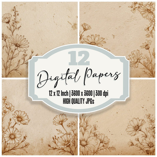 Daisy Natural Tones Sketch Background Digital Paper Pack (DDD000206)