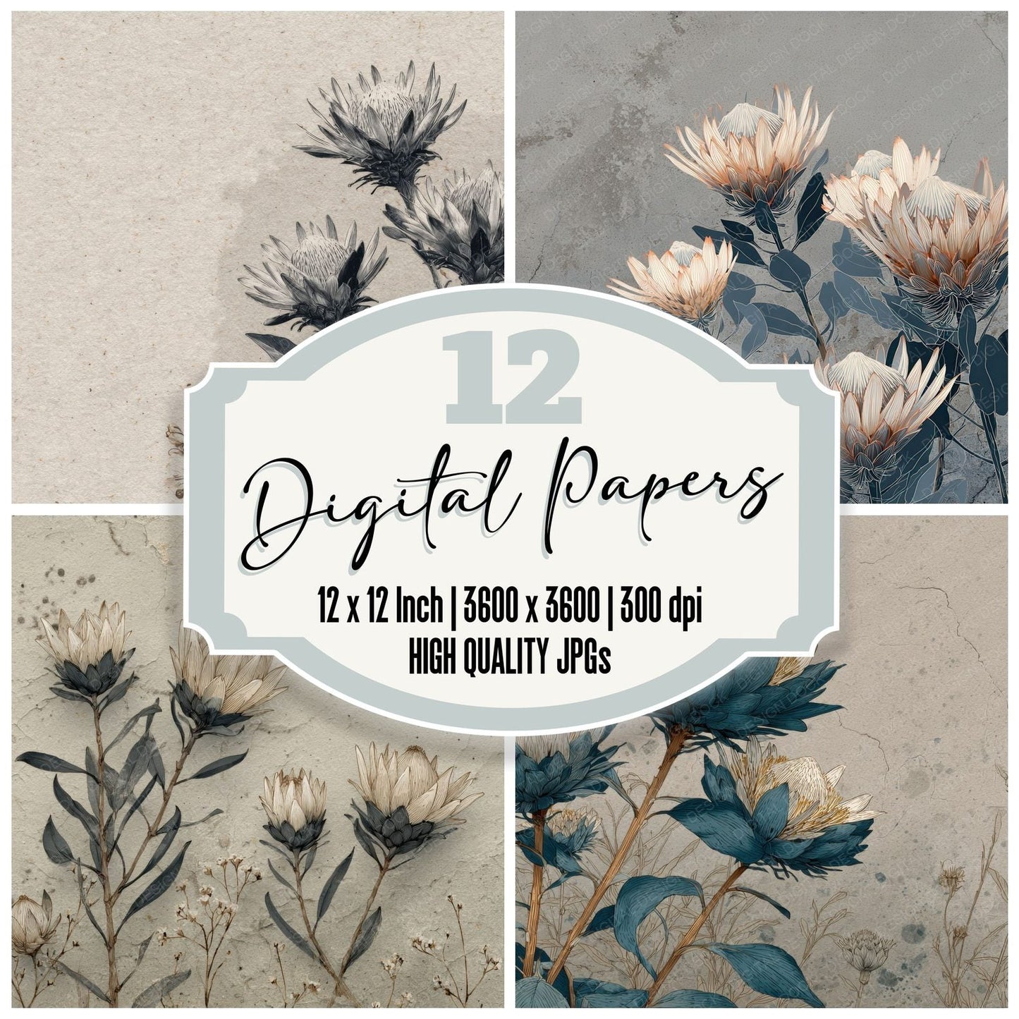Graphite Protea Ink Background Digital Paper Pack (DDD000210)