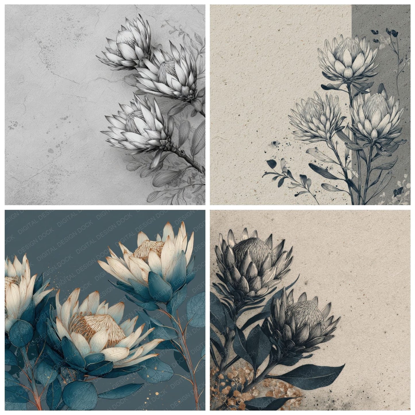 Graphite Protea Ink Background Digital Paper Pack (DDD000210)