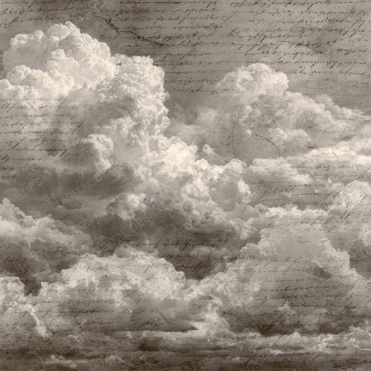 Monochrome Script Cloud Background Digital Paper Pack (DDD000254)