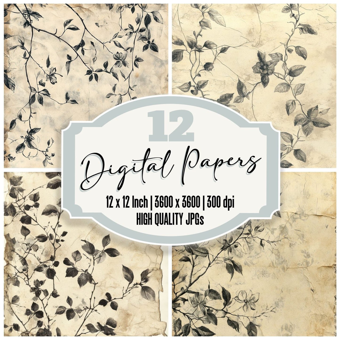 Aged Botanical Study Digital Paper Pack (DDD000334)