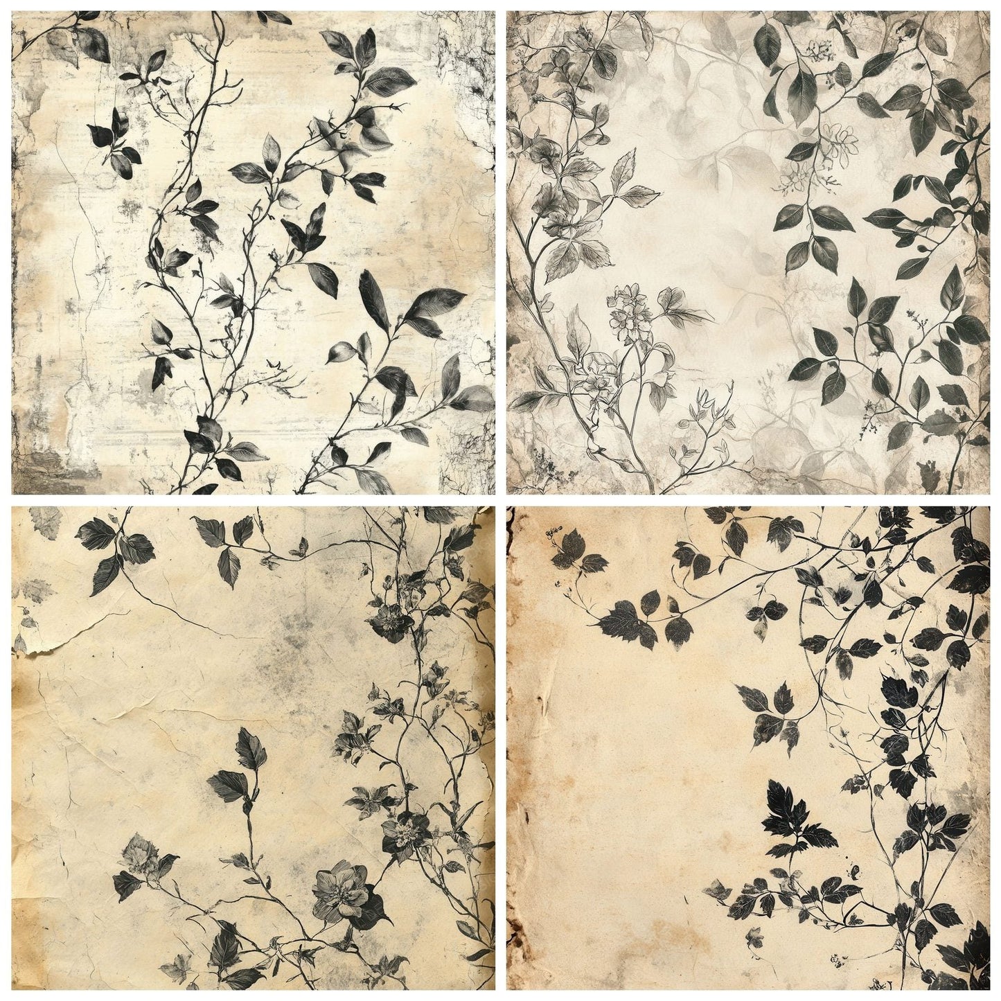 Aged Botanical Study Digital Paper Pack (DDD000334)