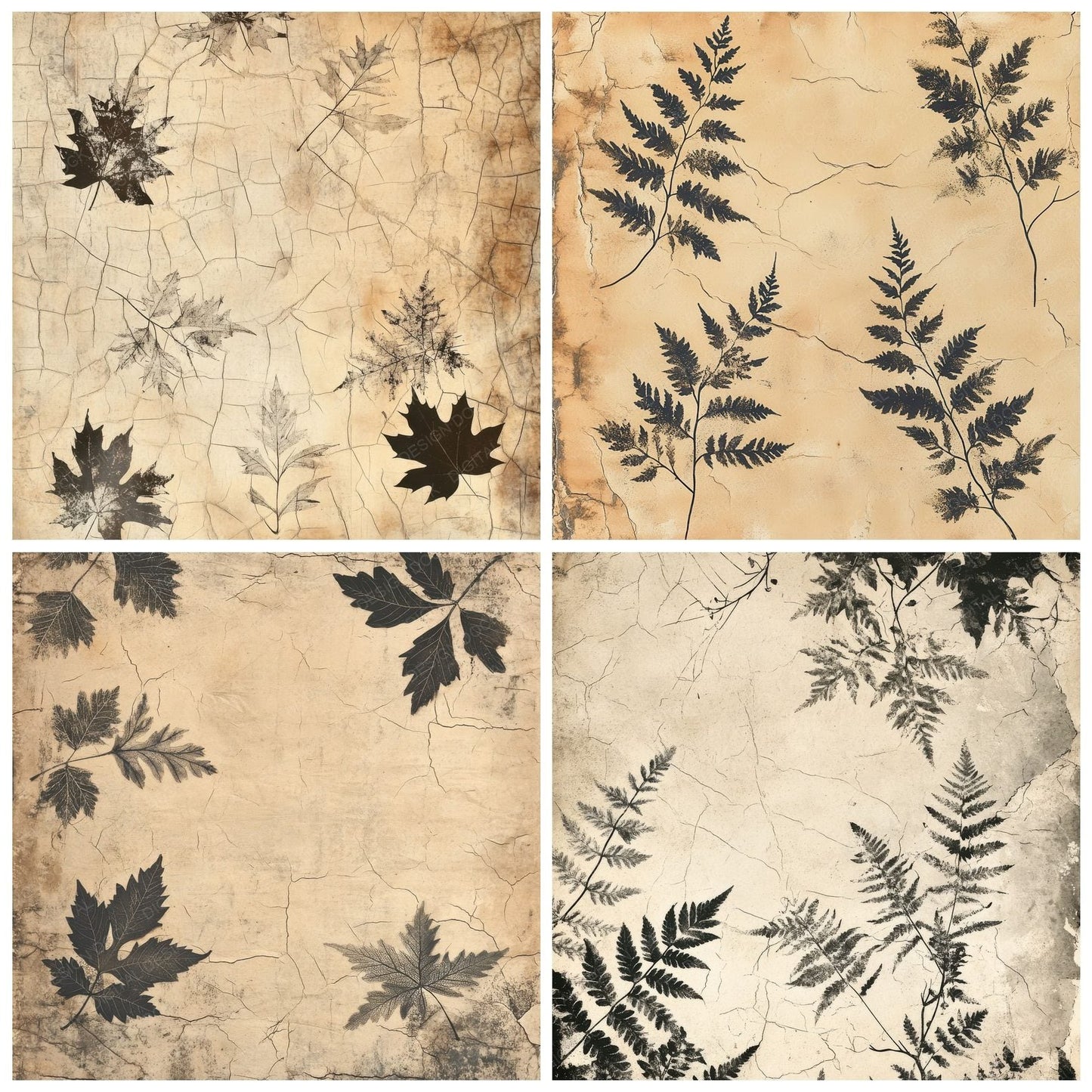 Aged Ink Leaves Digital Paper Pack (DDD000336)